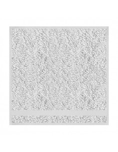 ASCIUGAMANO OSPITE CM 30X30 2