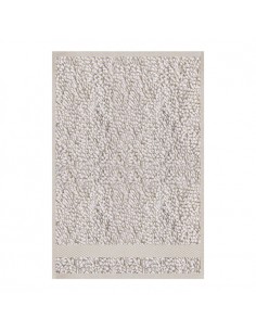 ASCIUGAMANO OSPITE CM 100X150 2