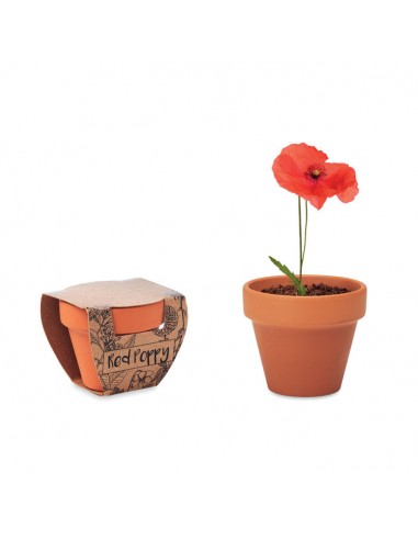 Vasetto in terracotta con semi di ...