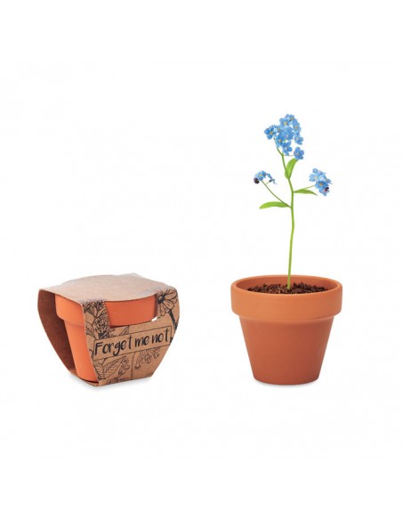 Vasetto in terracotta con semi di ...