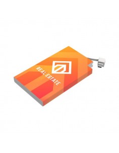 Powerbank Rome-C 10000 mAh (Apple&Android)