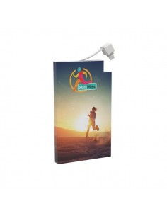 Powerbank Rome-C 10000 mAh (Apple&Android) 2