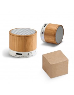 Altoparlante portatile con microfono