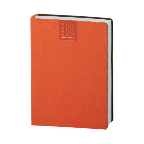 Agenda giornaliera multilingue cm 15x21