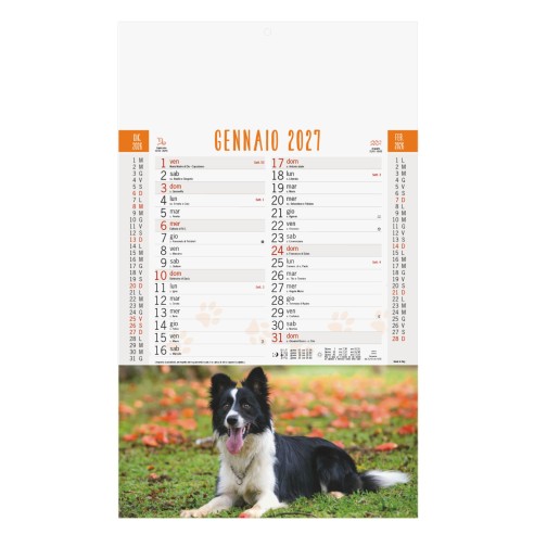 Calendario illustrato " CANI E GATTI"