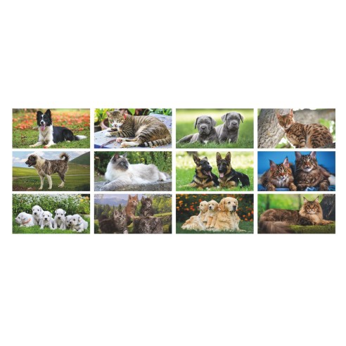 Calendario illustrato " CANI E GATTI"