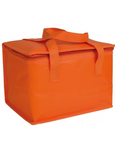BORSA TERMICA IN TNT LAMINATO