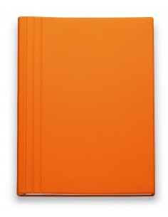 AGENDA SETTIMANALE 2