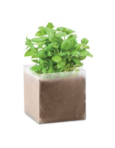 SACCHETTO CON SEMI DI BASILICO - PREZZEMOLO-MENTA